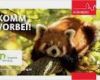 Zoo Gutschein Vorlage Einzigartig Gutscheine Nürnberger Tiergarten Giveaways