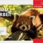 Zoo Gutschein Vorlage Einzigartig Gutscheine Nürnberger Tiergarten Giveaways