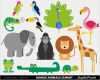 Zoo Gutschein Vorlage Schön Dschungel Tiere Baby Digitale Clipart Safari Tiere Clipart