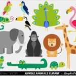 Zoo Gutschein Vorlage Schön Dschungel Tiere Baby Digitale Clipart Safari Tiere Clipart