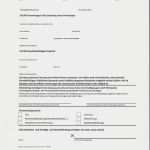 Zulassung Vollmacht Vorlage Beste Kfz Zulassungs Nst Magdeburg Vollmacht