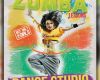 Zumba Flyer Vorlagen Wunderbar Zumba Fitness Lessons Flyer Templates by Majkolthemez