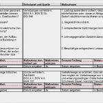 Zusammenfassende Beurteilung Der Tragfähigkeit Der Existenzgründung Vorlage Elegant Gefährdungsbeurteilung Führen Von Fahrzeugen sofort