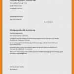 Zusammenziehen Vermieter Informieren Vorlage Bewundernswert 9 Beschwerdebrief An Den Vermieter Muster