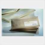 Zweckform 3666 Vorlage Word Genial Recycling Universal Etiketten Lr3666