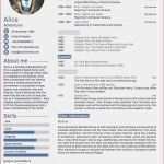 Zweckform L6009 Vorlage Word Wunderbar Excel Vorlagen Controlling Unglaubliche Kompetenzprofil