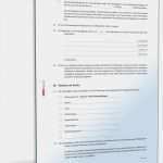 Zwischen Arbeitszeugnis Vorlage Cool Reinigungsvertrag