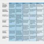 Anforderungsprofil Vorlage Fabelhaft Vorlagen Downloads – Tempus Consulting