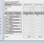 Anforderungsprofil Vorlage Gut Hausmeister Grünanlagen