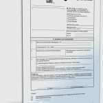 Antrag Auf Erlass Kfw Darlehen Vorlage Schön Antrag Auf Erlass Kfw Darlehen Vorlage In Creative Antrag