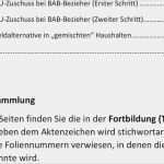 Antrag Auf Erlass Kfw Darlehen Vorlage Wunderbar Sammlungen Von Widerspruch Muster Jobcenter Bookbugs