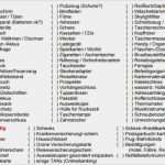 Wohnmobil Tagebuch Vorlage Luxus Tagebuch Vorlage Word 30 Schön Muster Website