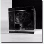 3d Würfel Vorlage Erstaunlich 3d Glaswürfel