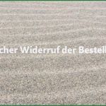 Abberufung Datenschutzbeauftragter Vorlage Erstaunlich Muster Dienstleistungsvertrag Externer Datenschutzbeauftragter