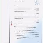 Abberufung Datenschutzbeauftragter Vorlage Schönste Bestellung Sicherheitsbeauftragter