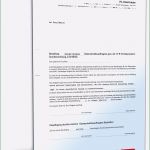 Abberufung Datenschutzbeauftragter Vorlage Süß Bestellung Datenschutzbeauftragter