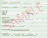 Access Datenbank Vorlagen Verein Neu Mitarbeiter Datenbank Access Vorlage Neu Access Datenbank