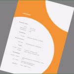 Adressänderung Vorlagen Kostenlos Großartig Design Bewerbungsvorlagen Kostenlos