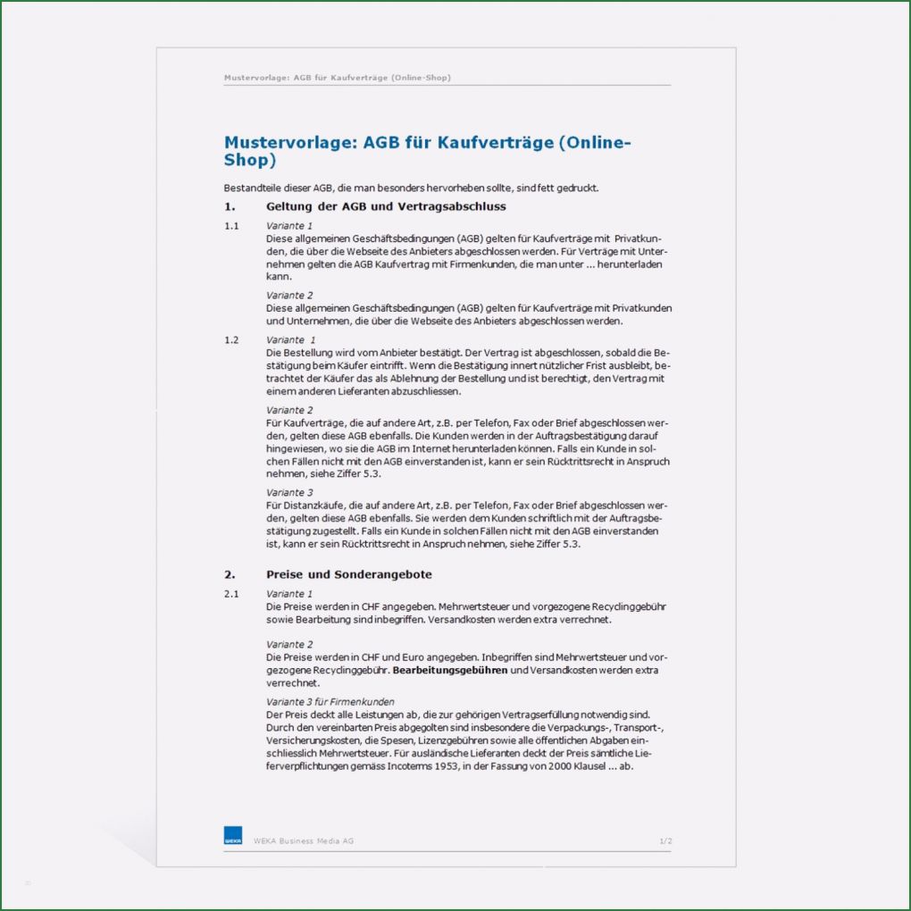 Agb Onlineshop Vorlage Angenehm Agb Lineshop — Vianova Project