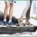 Agb Onlineshop Vorlage Großartig Agb Fur Lineshop De Knoz Osysteme Stasse 3 Wetzla Line