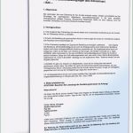 Agb Vorlage Dienstleistung Hübsch Agb Line Shop B2c