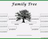 Ahnentafel Erstellen Vorlage Beste Vorlage Stammbaum Kostenlos 10 Phantasie Für 2019