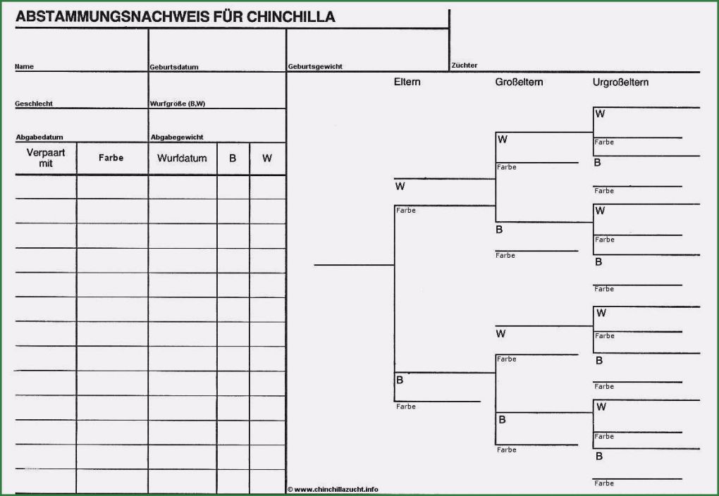 Ahnentafel Erstellen Vorlage Einzigartig Stammbaum Vorlage Pdf