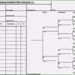 Ahnentafel Erstellen Vorlage Einzigartig Stammbaum Vorlage Pdf