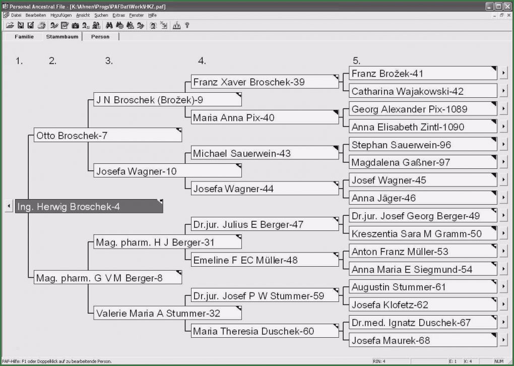 Ahnentafel Erstellen Vorlage Erstaunlich Ahnentafel Vorlage Kostenlos