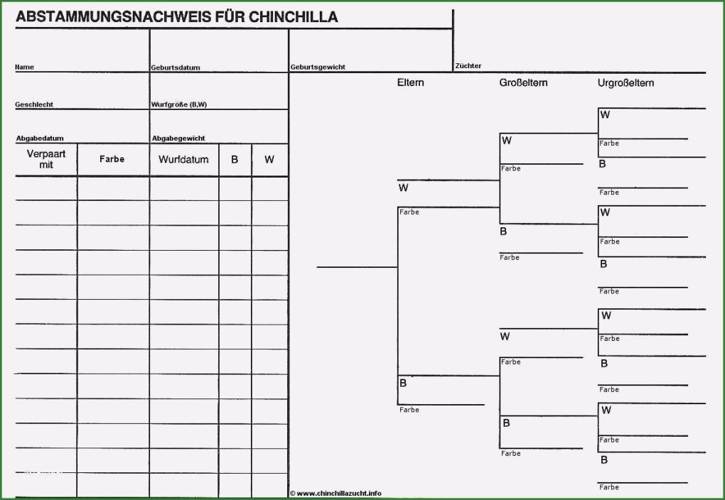 Ahnentafel Erstellen Vorlage Gut Stammbaum Vorlage Kostenlos