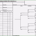 Ahnentafel Erstellen Vorlage Gut Stammbaum Vorlage Kostenlos