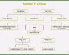 Ahnentafel Erstellen Vorlage Luxus Stammbaum Erstellen Vorlage 14 Optionen Nur Für Sie