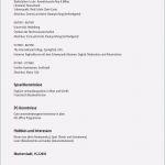 Akademischer Lebenslauf Vorlage Beste 11 Perfekt Muster Akademischer Lebenslauf Für Jede Stelle