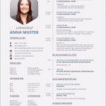 Akademischer Lebenslauf Vorlage Cool 15 Akademischer Lebenslauf Beispiel