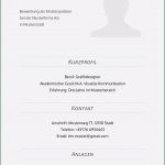 Akademischer Lebenslauf Vorlage Einzigartig Shimalohas