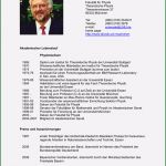 Akademischer Lebenslauf Vorlage Elegant 12 Wunderbar Wissenschaftlicher Lebenslauf Stock