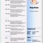 Akademischer Lebenslauf Vorlage Erstaunlich 21 Lebenslauf Muster Gastronomie