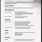 Akademischer Lebenslauf Vorlage Erstaunlich Amerikanischer Lebenslauf Deutsche form Oder Resume