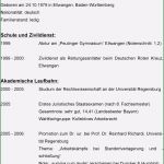Akademischer Lebenslauf Vorlage Großartig 15 Lebenslauf Stipendium