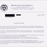 Akademischer Lebenslauf Vorlage Großartig Akademischer Lebenslauf Beispiele Bewerbung