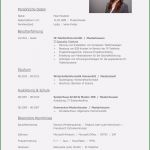 Akademischer Lebenslauf Vorlage Großartig Tabellarischer Lebenslauf Vorlage Kostenlose Muster Zum