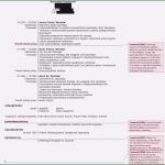 Akademischer Lebenslauf Vorlage Gut Line Bewerbung Deckblatt Aufnahme – Akademischer