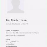 Akademischer Lebenslauf Vorlage Hübsch 11 Vorlagen Muster Akademischer Lebenslauf Für Jede Stelle