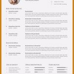Akademischer Lebenslauf Vorlage Inspiration 7 Lebenslauf 2 Seiten