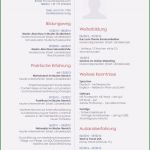 Akademischer Lebenslauf Vorlage Schönste 17 Bewerbung Usa Muster