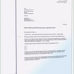 Alice Dsl Kündigung Vorlage Beste 16 Inspiration Kündigung Schreiben Verein Ideen