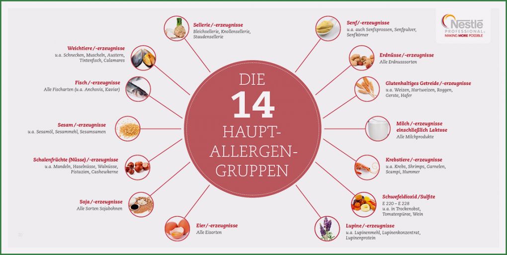 Allergene Kennzeichnungspflicht Vorlage Elegant Artichox Portal Gastro Hotel Gastro News Fachmagazin Eu