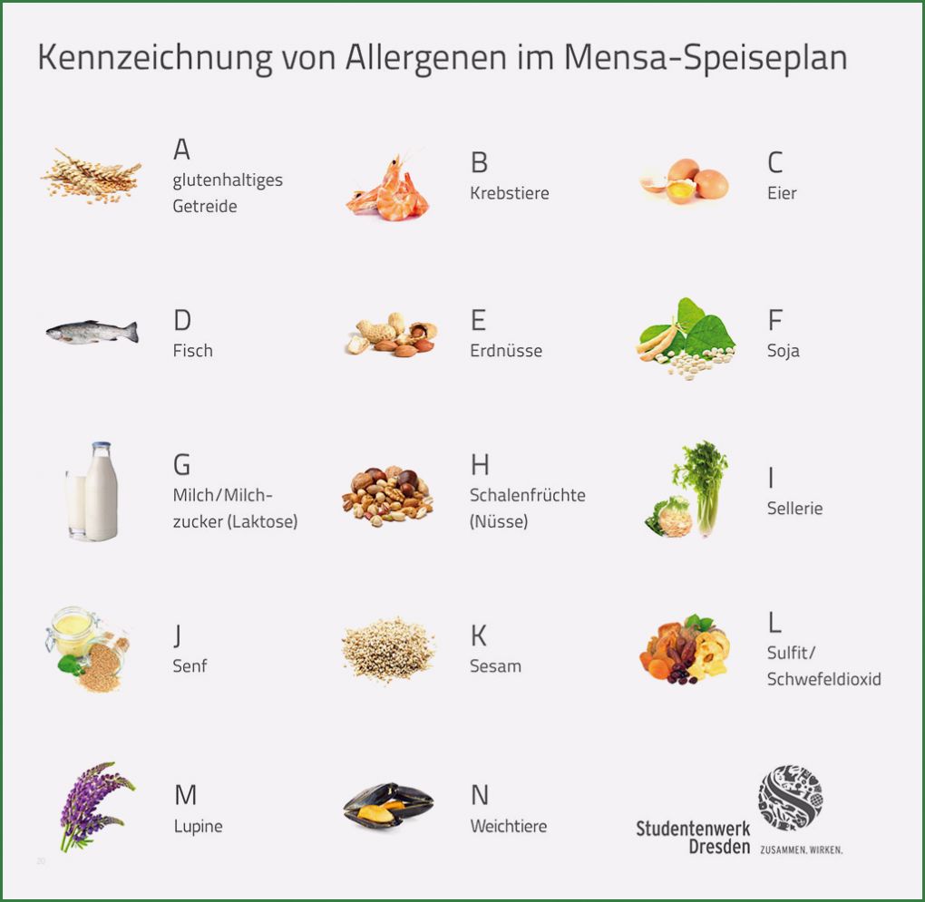 Allergene Kennzeichnungspflicht Vorlage Fabelhaft Kennzeichnung Von Allergenen Im Speiseplan Der Mensen