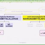 Allergene Kennzeichnungspflicht Vorlage Fabelhaft Unvergesslich Allergene Speisekarte Vorlage 2019