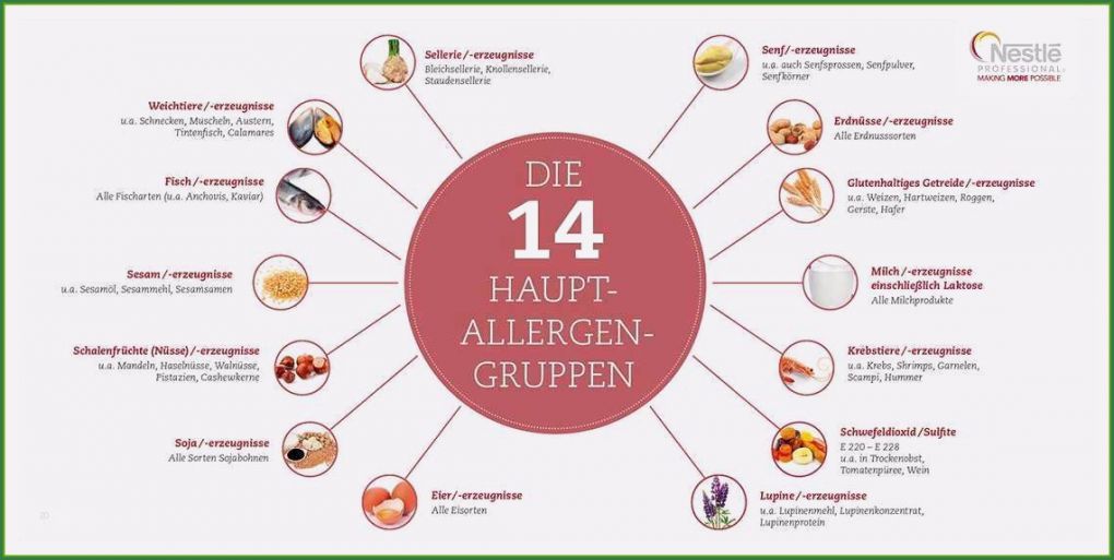 Allergene Kennzeichnungspflicht Vorlage Schön Unvergesslich Allergene Speisekarte Vorlage 2019